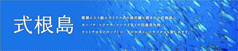 式根島～周囲５４キロ伊豆七島の中で最も大きな島です。黒潮の影響をタップリ受ける伊豆式根島の海は、様々な生き物達で満ち溢れています。