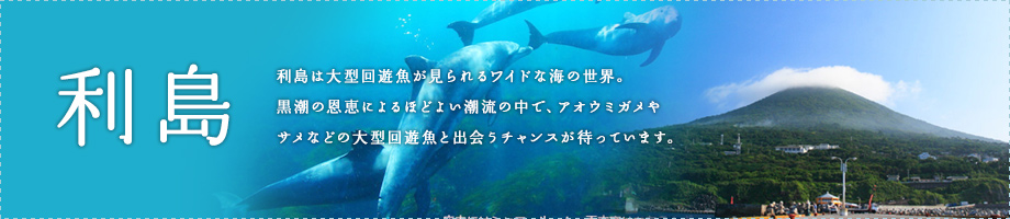 利島～利島は大型回遊魚が見られるワイドな海の世界。黒潮の恩恵によるほどよい潮流の中で、アオウミガメやサメなどの大型回遊魚と出会うチャンスが待っています。