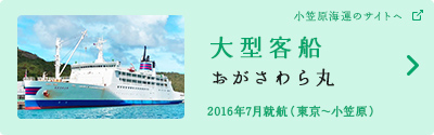大型客船「おがさわら丸」（小笠原海運のサイトへ）