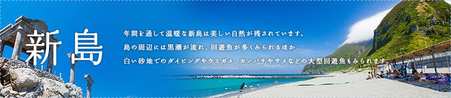 年間を通して温暖な新島は美しい自然が残されています。島の周辺には黒潮が流れ、回遊魚が多くみられるほか、白い砂地でのダイビングやウミガメ、カンパチやサメなどの大型回遊魚もみられます。 