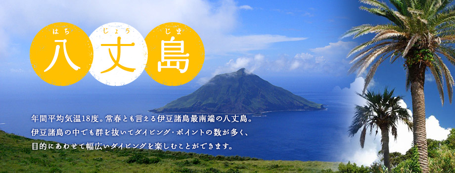八丈島
