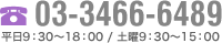 03-3466-6489
